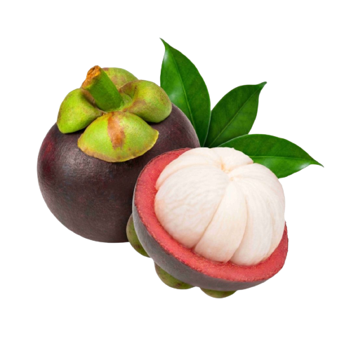 mangosteen